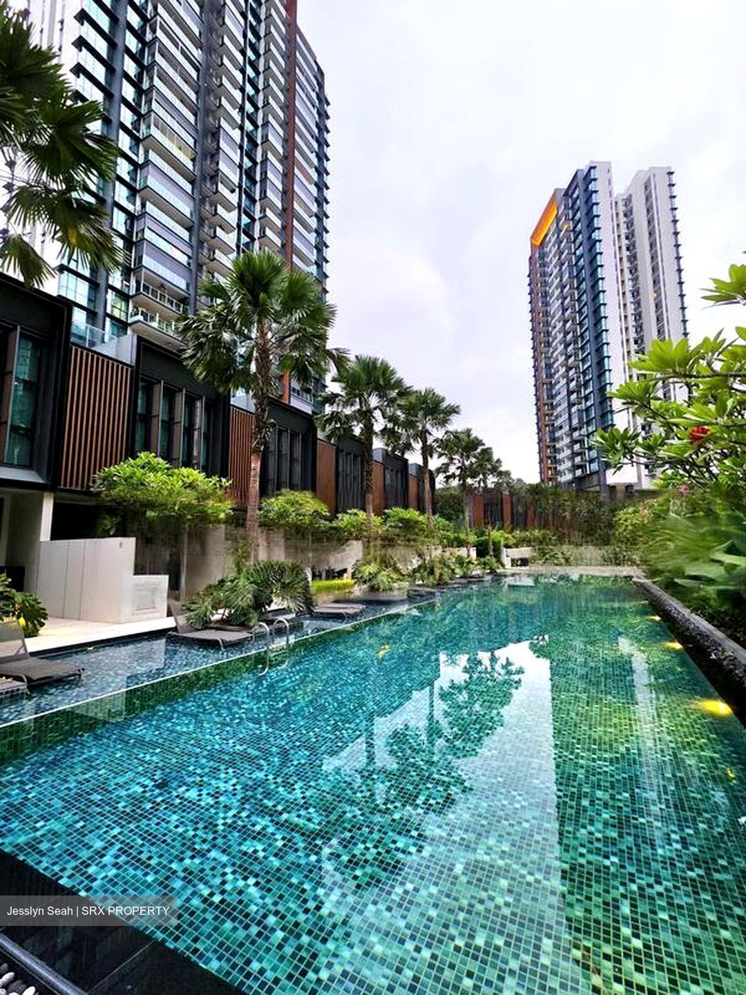 Normanton Park (D5), Apartment #454498671